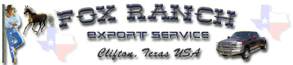 Export Service
